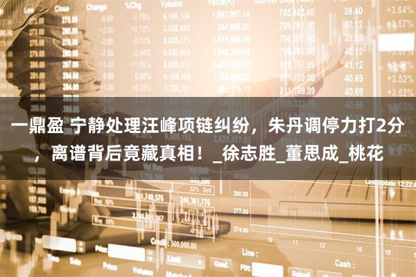 一鼎盈 宁静处理汪峰项链纠纷，朱丹调停力打2分，离谱背后竟藏真相！_徐志胜_董思成_桃花