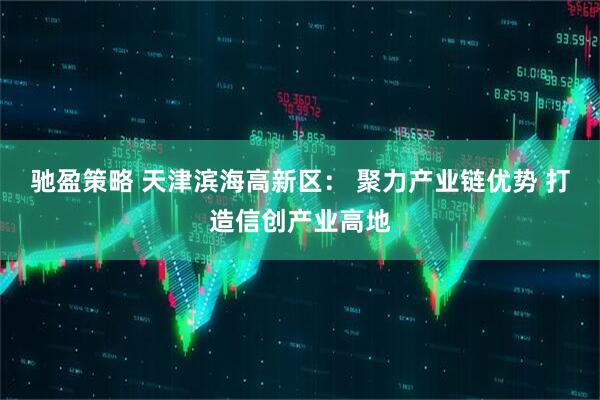 驰盈策略 天津滨海高新区： 聚力产业链优势 打造信创产业高地