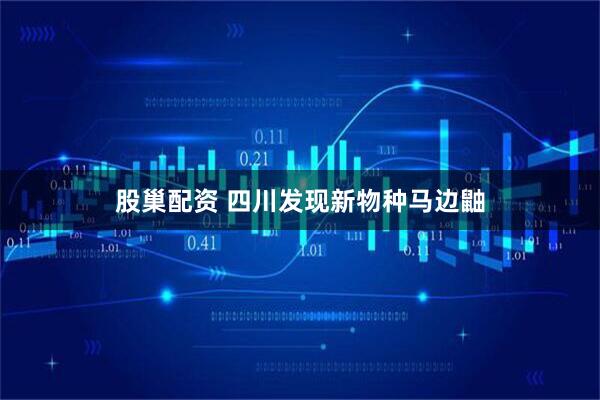 股巢配资 四川发现新物种马边鼬